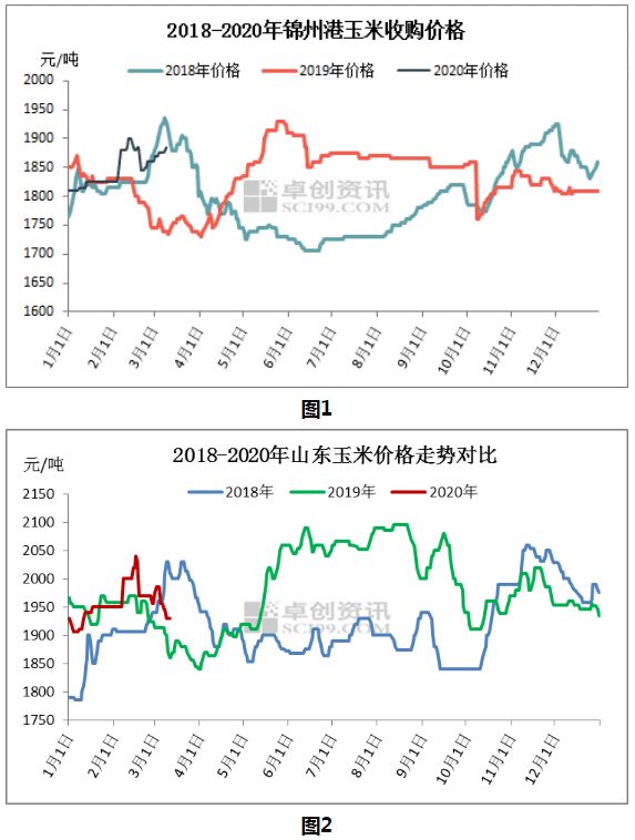 双鸭山玉米价格动态，最新回顾与前瞻，最新价格信息更新