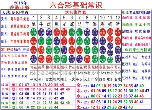 澳门正版资料大全资料生肖卡,综合解答解释落实_进展版23.979