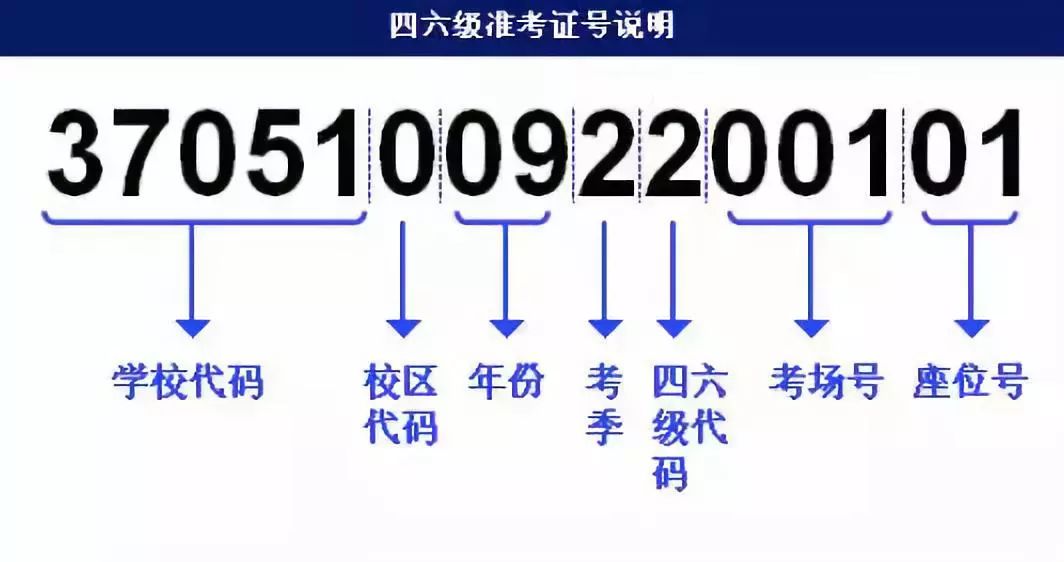 2024澳门开奖历史记录结果查询,过程评估解答解释计划_播送版92.593