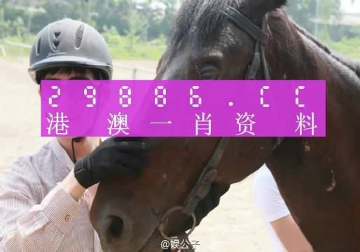 澳门今晚必中一肖一码今晚澳门,细微解答解释落实_保护版8.629